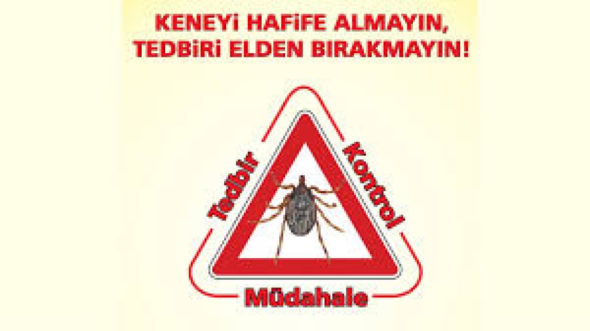 KENE BİLGİLENDİRME